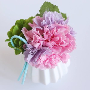 �J�[�l�[�V�����̃s���N�ƃp�[�v���̗D�����O���f�[�V�����́A���������p�b�Ɩ��邭���A���邽�тɐS��a�܂��Ă���܂��B