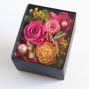 �����ȃJ�o�[�����Ă���̂ŁA�z�R���̐S�z���Ȃ������Ԕ�������Ԃ����y���݂��������܂��B