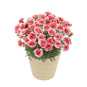 �ꏏ�ɂ��͂�����l�C�̃J�[�l�[�V�����@�������z�C�b�v�ł��B