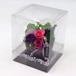 �ꏏ�ɂ��͂�����a���_���ȃv���U�[�u�h�t�����[�ł��B���̂܂܏����Ă���������A�N���A�P�[�X�ɓ���Ă��͂����܂��B