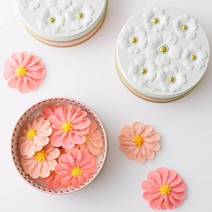 �W���J����ƁA�������Ԃ̂ڂ��낪���ڌ������܂��B