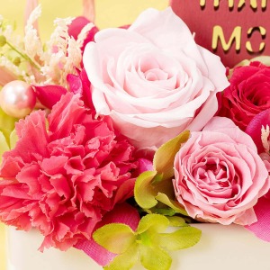 �s���N�̃o���ƃJ�[�l�[�V�������L���[�g�Ȉ�ۂł��B