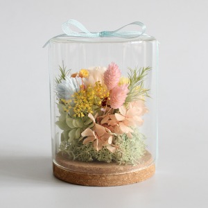 �w�ʂ��猩�Ă����Ԃ�O���[�����y���߂܂��B