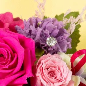 �u�h���v�̈Ӗ��������̃J�[�l�[�V�����̊Ԃ���́A�C�~�e�[�V�����_�C�����L�����B