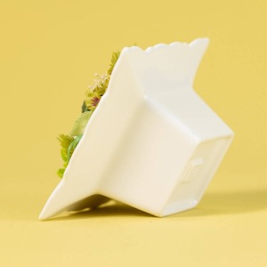 �w�ʂ��猩�Ă���i�Ȉ�ۂł��B