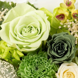 �����̐F�A�O���[���̃o�����Y��ɍ炢�Ă��܂��B