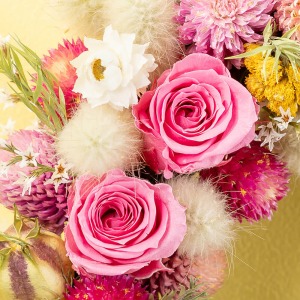 �v���U�[�u�h�t�����[�̉����s���N�̃o���������炢�܂����B