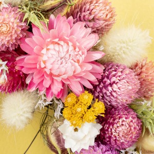 �傫�Ȃ��Ԃ̓w���N���T���A�R���R���Ɖ������Ԃ̓Z���j�`�R�E�ł��B