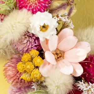 �������Ԃ̓A�����r���[���A���F�����Ԃ̓��[�i�X�ł��B�ǂ�������ȍ����ň�������Ȃ��Ԃł��B