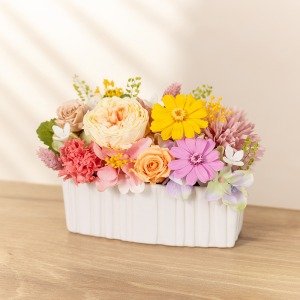 �������ɏ������C���[�W�ł��B