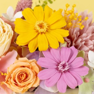 �Ђƍۖڂ������S�����i�W�j�A�j�̉Ԍ��t�́u�J�v�u���܂ł��ς��ʐS�v�u�K���v