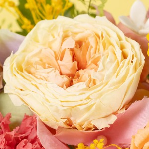 ��d�ɂ��d�Ȃ�ԕق��������N���V�b�N���[�Y�B���S�قǐF���Z���Ȃ�܂��B