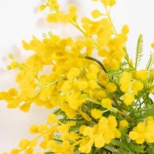 �A�[�g�t�����[�̃~���U�����̓I�ɂӂ���ƍL�����Ă��܂��B