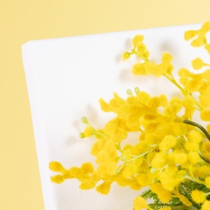 �������݂�����A�L�����o�X�n�łł����t�@�u���b�N�{�[�h�ł��B