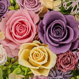 �p�X�e���J���[�̃o�����ӂ񂾂�Ɏg�p���܂����B