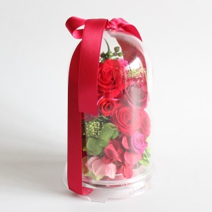 �����ʂ��猩���l�q�ł��B�������g�[���̈Ⴄ�ԃo���������Ă��܂��B