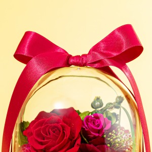 �傫�ȃ��{��������ł��͂����܂��B