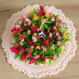 �����Ղ�̂��Ԃ��J���t���łƂĂ��؂₩�ł��B