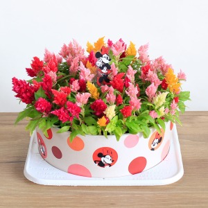 �P�[�L�g���[�ɏ悹����Ԃł��͂����܂��B