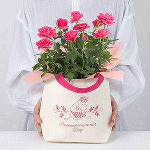 ��l�̏��������������̑傫���C���[�W�ł��B