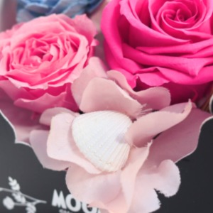 ���[�~���}�}�ɂƂ��ĊL�k�́A�C�ӂł̎U�����ɏE���W�߂邨�C�ɓ���̃R���N�V�����ł��B