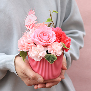 ��l�̏������������ꍇ�̑傫���ƃC���[�W�ł��B