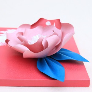 ���Ԃ̃A�b�v�ł��B���ꂪ���łł��Ă���Ƃ͎v���Ȃ��قǂ̗��̊��Ɋ������Ă��������B