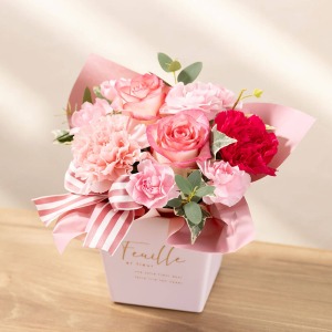 ��̓����͂��A�����W�����g�ł��B