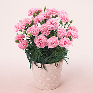 �ʂȃA���O������̃C���[�W�ł��B