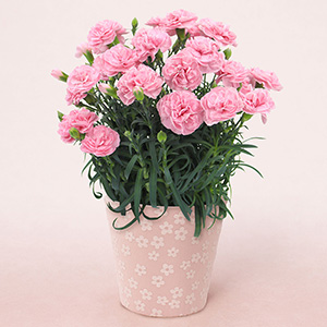 �Ⴂ�A���O������̃C���[�W�ł��B