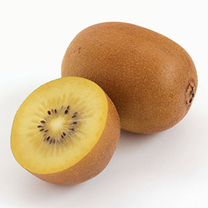 �t��������H���܂ő�؂ɊǗ����Ă��������ƁA���n�L�E�C�t���[�c���������オ�肢�������܂��B