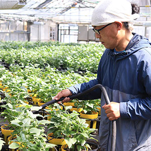 �ꔫ�ꔫ�A���̏�Ԃ����Ȃ���A�����Ȃǂ̊Ǘ����s���Ă��܂��B