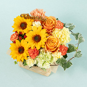 �ʂ̊p�x����݂��C���[�W�ł��B