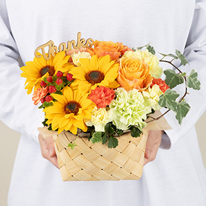 ��l�̏������������ꍇ�̑傫���C���[�W�ł��B