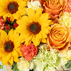 ���Ă��邾���Ō��C���o�����ȃr�^�~���J���[�̉ԁX���W�߂܂����B