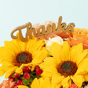 ���ӂ̋C���������߂āA�uThanks�v�̃��b�Z�[�W�s�b�N��Y���܂����B