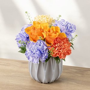 �ʂ̊p�x���猩���C���[�W�ł��B