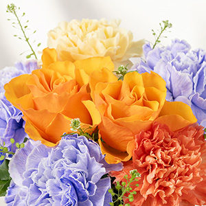 �I�����W�̃o���ƃ��x���_�[�̃J�[�l�[�V�������A��ۓI�ȍʂ��Y���܂��B