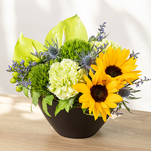 �ʂ̊p�x���猩���C���[�W�ł��B