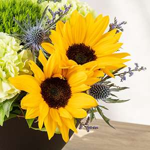 �A���̐D��Ȃ��O���[���̃O���f�[�V�����ɁA���C�����ς��̃q�}���������킹�܂����B