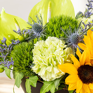 �O���[���̔Z�W�ɃG�����W�E���̃u���[���悭�f���܂��B