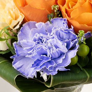 ���x���_�[�F�ɐ��߂��J�[�l�[�V�������A���ʊ��̂��鑡�蕨�Ƃ��ăI�X�X���ł��B