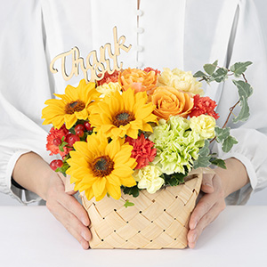 ��l�̏������������ꍇ�̑傫���C���[�W�ł��B