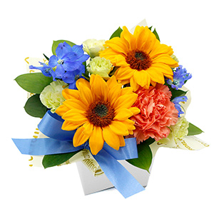 �ꏏ�ɂ��͂�����q�}�����̃A�����W�����g�ł��B���C�ɍ炭�q�}�������|�C���g�ł��B