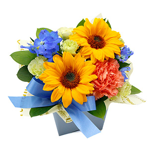 �ꏏ�ɂ��͂�����q�}�����̃A�����W�����g�ł��B���C�ɍ炭�q�}�������|�C���g�ł��B