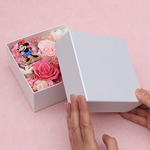 �W���J����܂Œ��g�������Ȃ��{�b�N�X�^�C�v�B�W���J�����u�ԂɍL����؂₩�ȉԁX�ƃL�����N�^�[�f�U�C���̃v���[�g���A�Y����Ȃ������ƏΊ��͂��܂��B