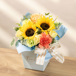 ���̓����͂��A�����W�����g�ł��B