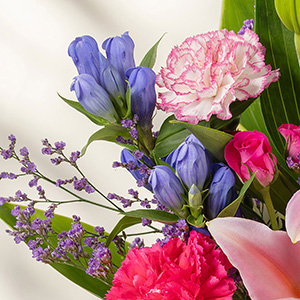 �������肤������̂Ƃ��Đe���܂��H�̉ԁE�����h�E��Y���܂����B