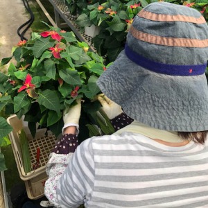 10���ɖK�������ۂɂ́A���J��1�{1�{�厖�Ɏx�������Ƃŕt�����Ă��܂����B