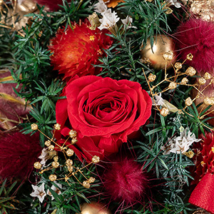 �c���[�̒��S�ɂ́A�^�g�̃v���U�[�u�h�t�����[�̃o�����炢�Ă��܂��B